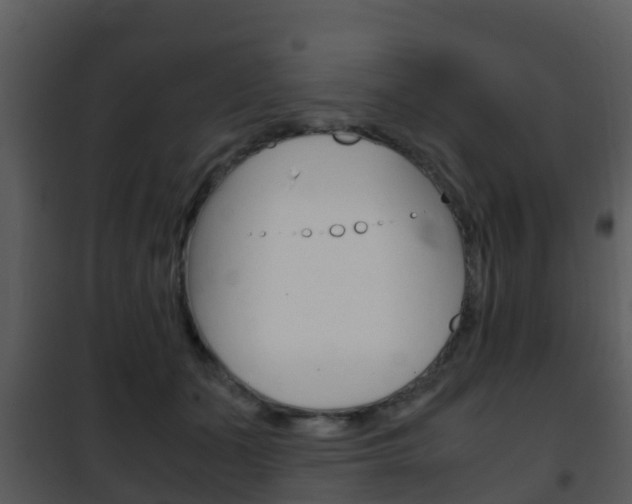 X0000101990511200807180828