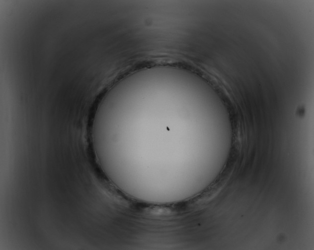 X0000101990512200807180828