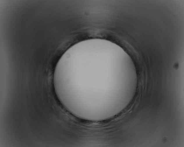 X0000101990513200807180828