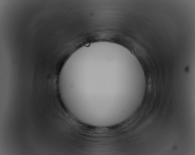 X0000101990514200807180828