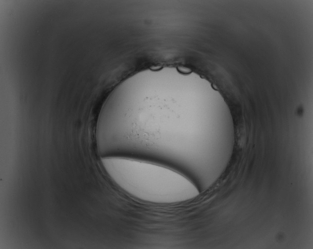 X0000101990515200807180828