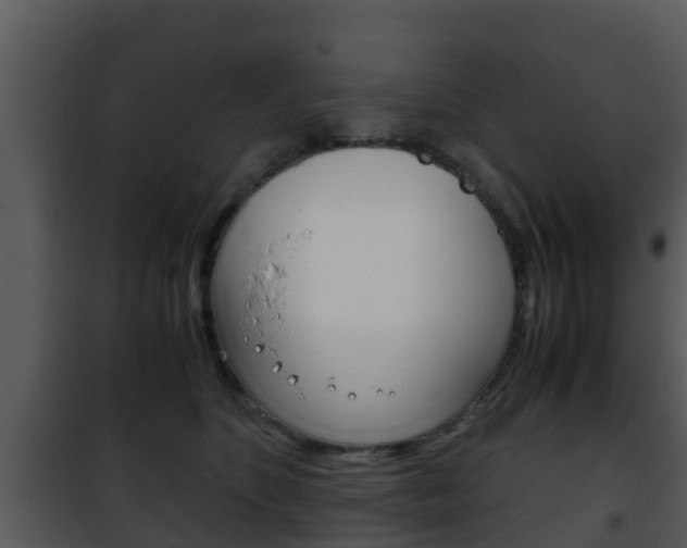 X0000101990516200807180828