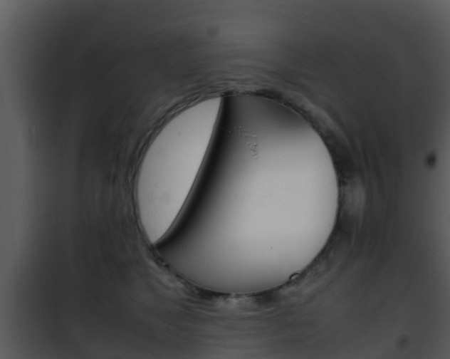 X0000101990517200807180828