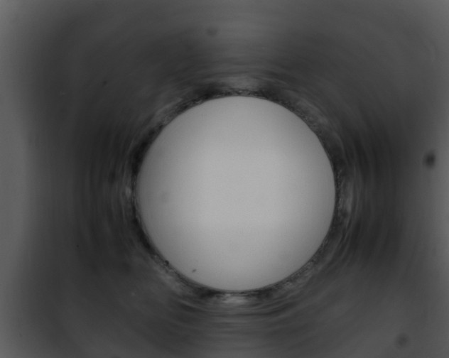 X0000101990518200807180828