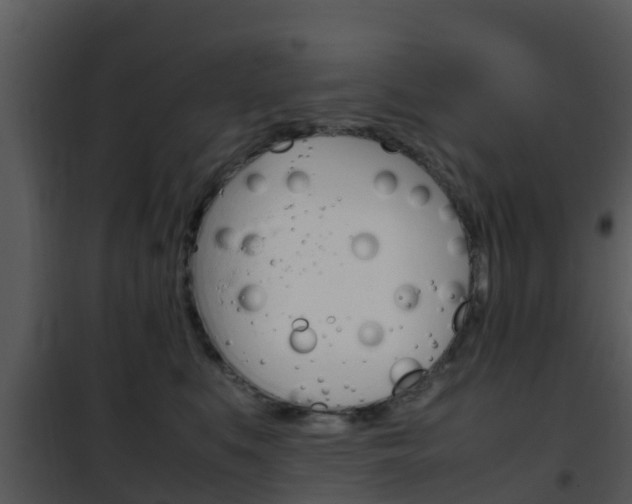 X0000101990519200807180828