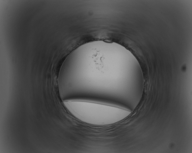 X0000101990521200807180828