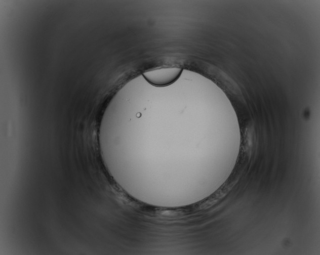X0000101990522200807180828