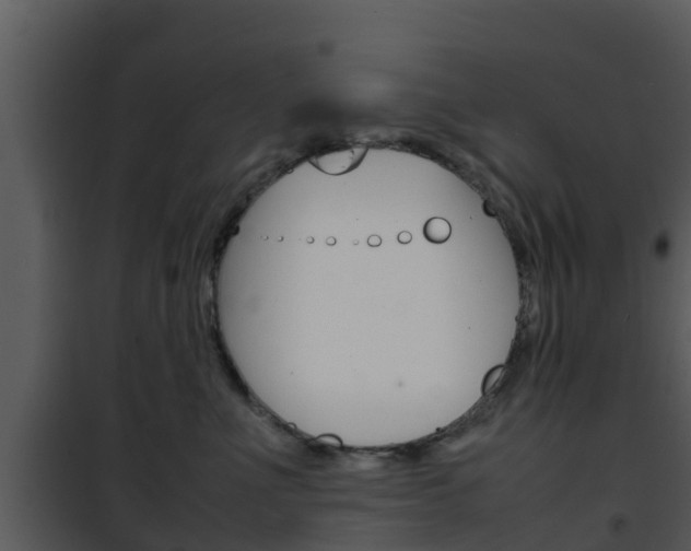 X0000101990523200807180828