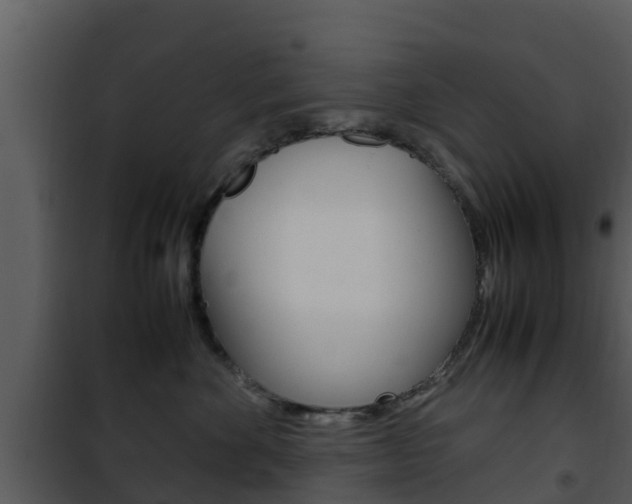 X0000101990524200807180828