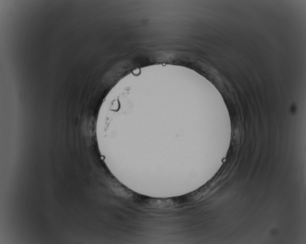 X0000101990525200807180828