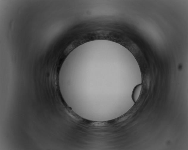 X0000101990526200807180828