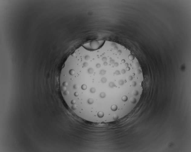 X0000101990527200807180828