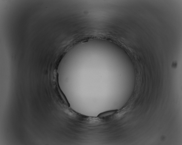 X0000101990528200807180828