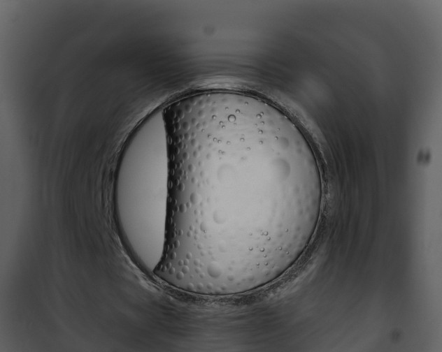 X0000101990529200807180827