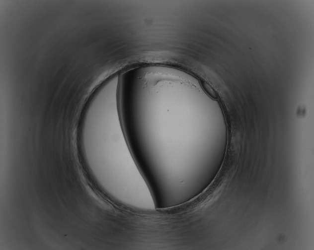 X0000101990530200807180827