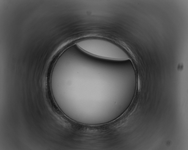 X0000101990531200807180827