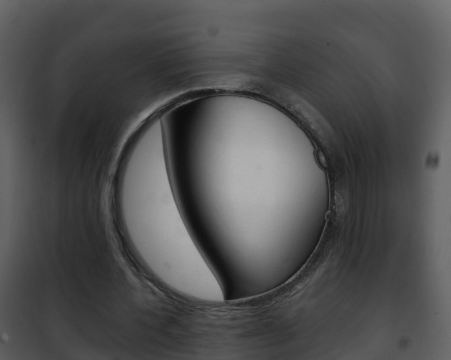 X0000101990532200807180827