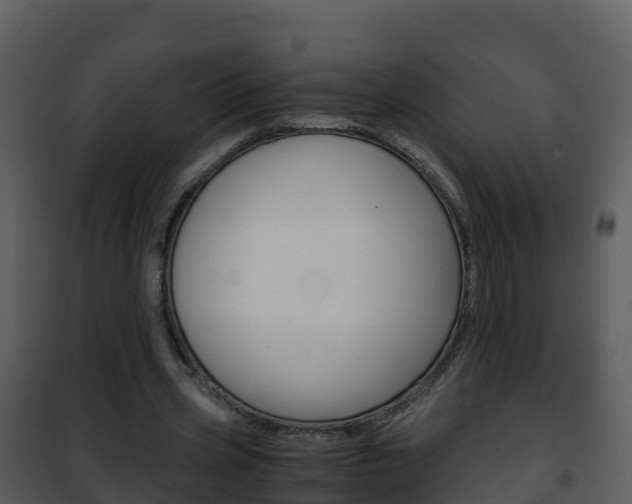 X0000101990533200807180827