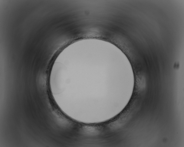 X0000101990534200807180827