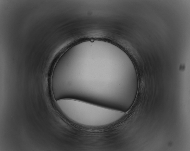X0000101990535200807180827