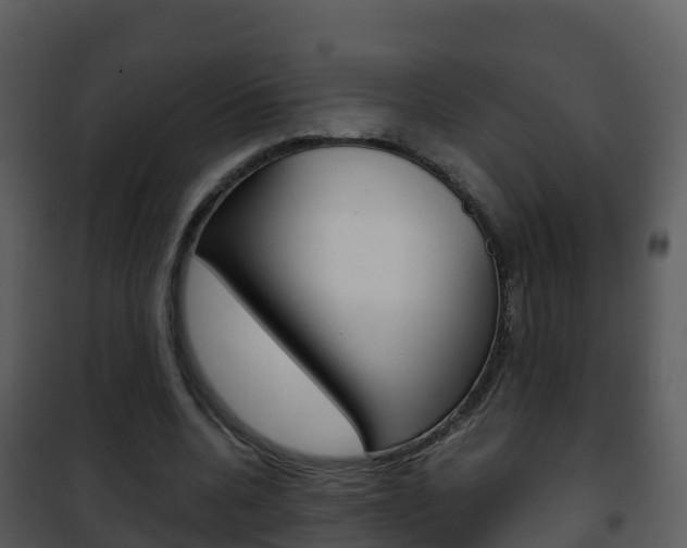 X0000101990536200807180827