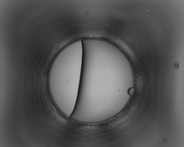 X0000101990537200807180827