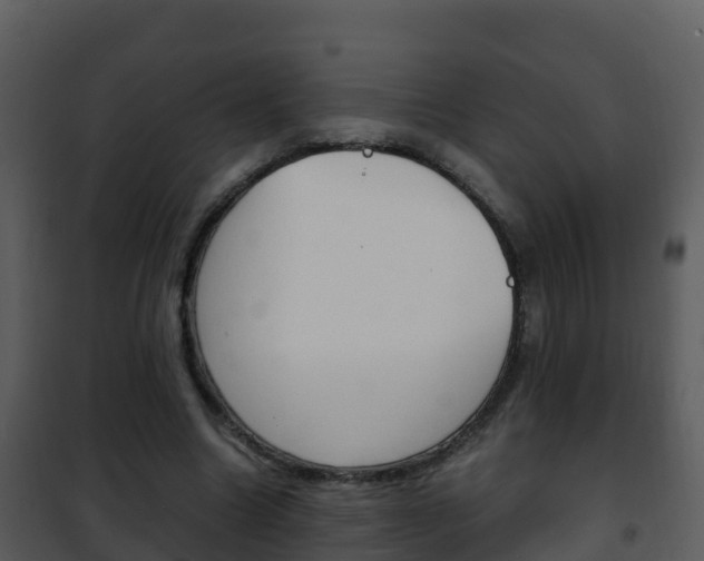 X0000101990538200807180827