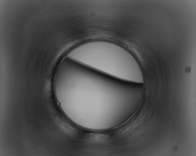 X0000101990539200807180827