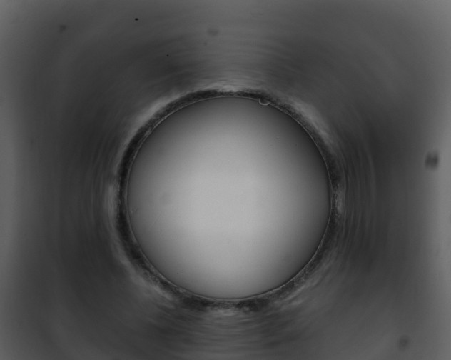 X0000101990540200807180827