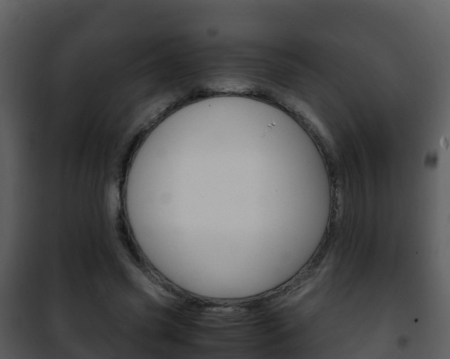 X0000101990541200807180827