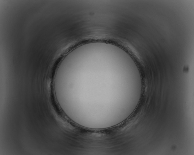 X0000101990542200807180827