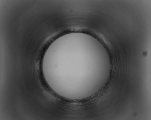 X0000101990543200807180827