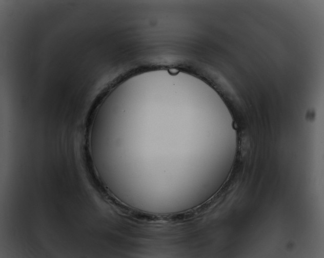 X0000101990544200807180827