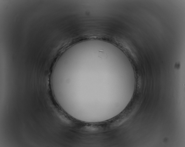 X0000101990545200807180827