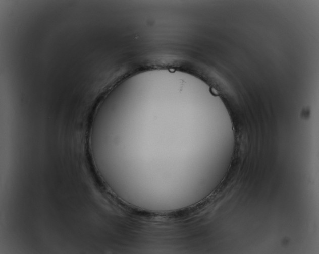 X0000101990546200807180827