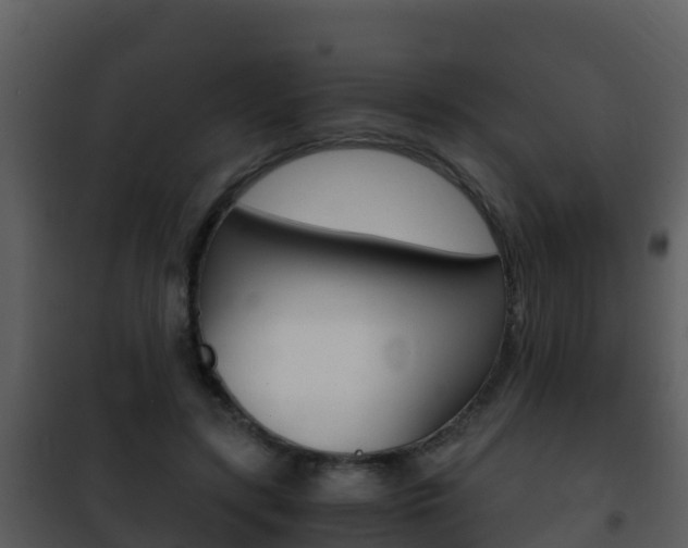 X0000101990547200807180827