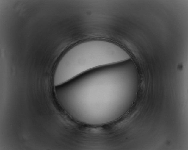 X0000101990548200807180827