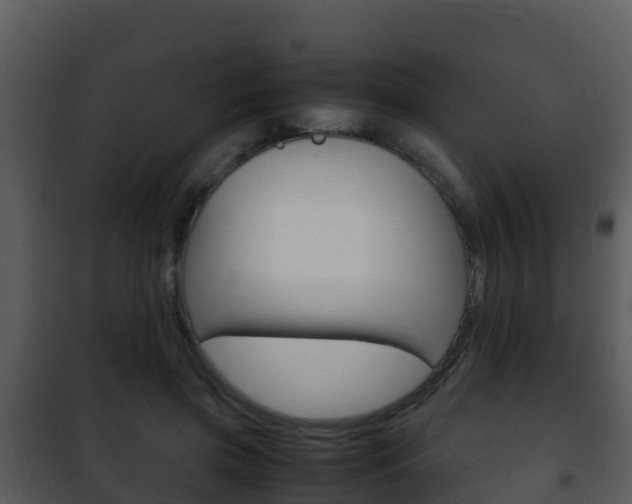 X0000101990549200807180827