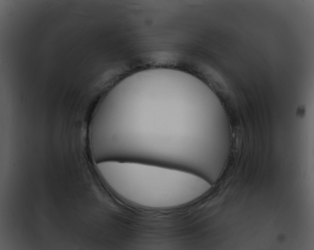 X0000101990550200807180827