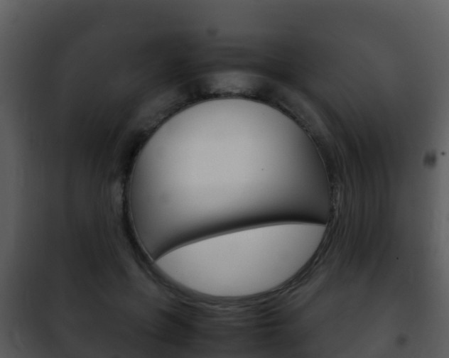 X0000101990551200807180827