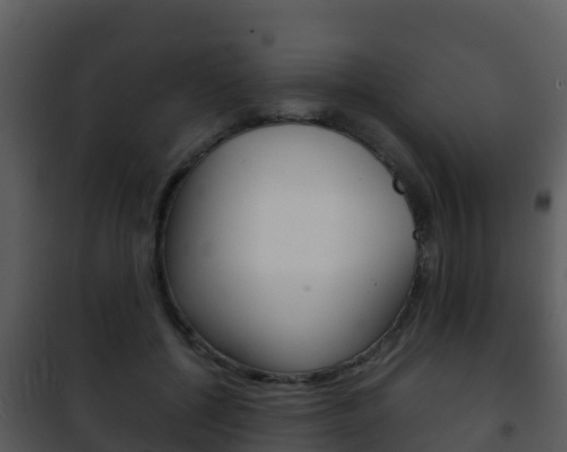 X0000101990552200807180827