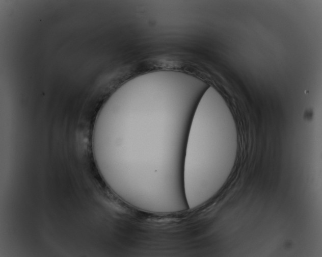 X0000101990553200807180827