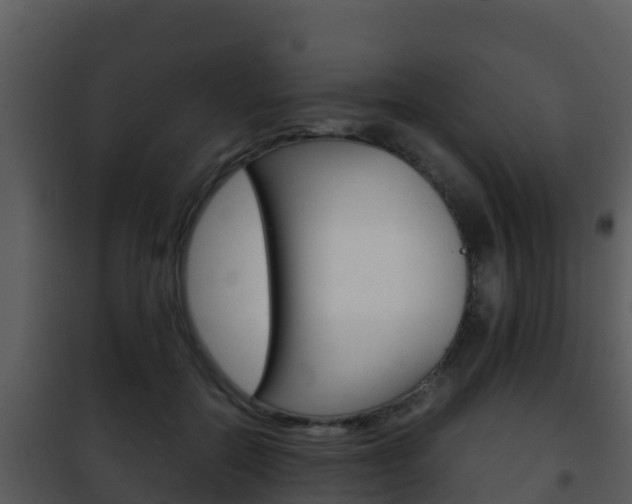 X0000101990554200807180827