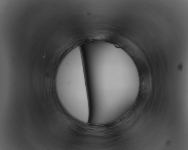 X0000101990555200807180827
