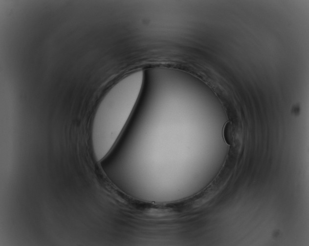 X0000101990556200807180827
