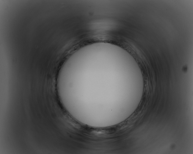 X0000101990557200807180827