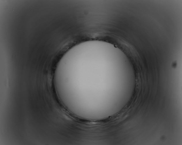 X0000101990558200807180827