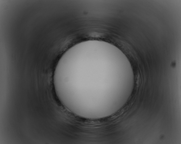X0000101990559200807180827