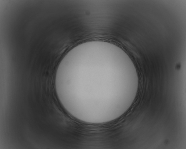 X0000101990560200807180827