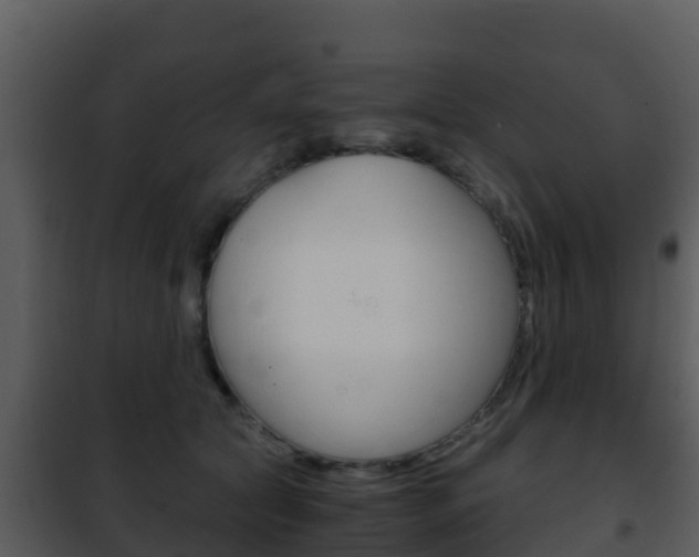 X0000101990561200807180827